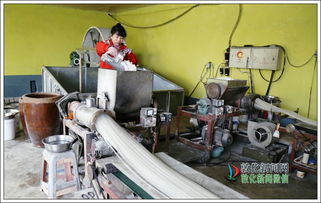 柳树沟王家粉条厂 三十年坚持，传承着一根粉丝的温度